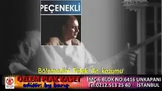 Pecenekli Süleyman -  Bölemedim Felek İle Kozumu (uzun hava)
