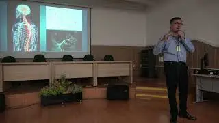 O impacto da violência na saúde mental