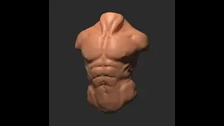 VR Sculpting a torso in 10 Minutes with Kodon
