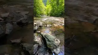 Relaxing Smoky Mountain River #travel #adventure #shorts