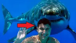 The sailor's boat landed on a reef and he swam to shore. Turning around, he saw a huge shark!