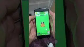 Cuando JUEGAS POU💩🎾 