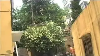 Small Video