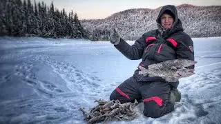 PIKE AND PERCH!!! FISHING IN -30!!! BIRYUSINSKY BAY KVH
