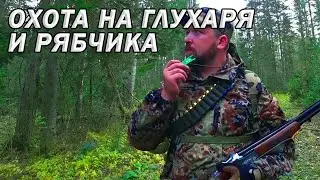 Охота на глухаря и рябчика с лайкой