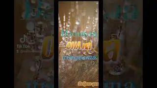 Доброе утро, осень💐💐💐