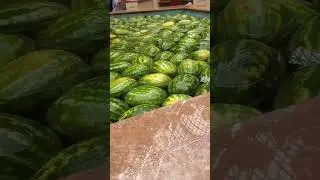 Тупо ГС из Ватсапп.... #рекомендации #meme #жиза #music #мемы #mrbeast #ссср #геншинимпакт #хонкай