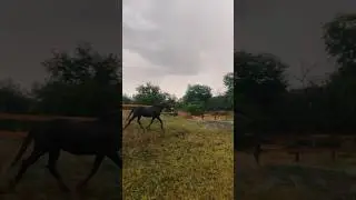 Классная погода 😍🌧