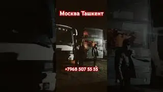 #мусофирлар