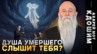Is There Life After Death? What the Torah Says. Chapter of the Week: 
