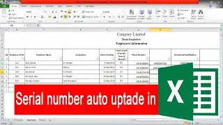 Serial Number Auto Update in MS Excel