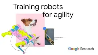 How do you train a robot to move with dog-like agility? | Field Notes