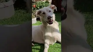 Доброе утро 🥰