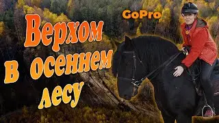Horseback riding in the autumn forest. Horseback riding from a first-person perspective. GoPro.