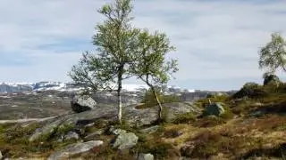 Norway, Land of Trolls