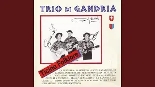 La ticinella