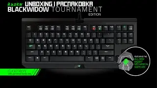 Распаковка | Unboxing - Razer BlackWidow Tournament Edition