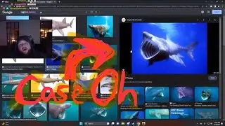Caseoh gets called a cetorhinus Maximus on stream😳😳🫣