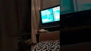 чип пытается погрызть провода...😎
