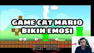 Cat Mario buat emosi dan darah tinggi | Bikin setres