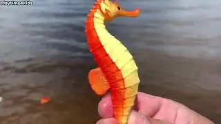 Using a Fishing Net to Catch Sea Animal Toys