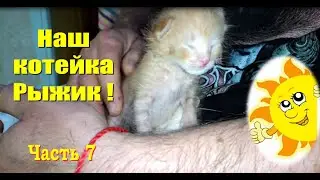 Наш котейка Рыжик! Часть 7 #Shorts