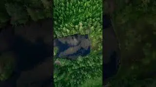 Места Ленобласти #shorts #месталенобласти