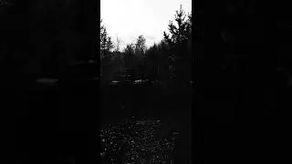 Пектроглифы тур на Канозеро.