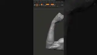 How To Create Undo History Movies In ZBrush 