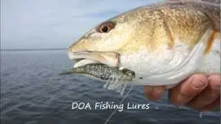 How to Cast and Catch More Redfish on the Mosquito Lagoon and Indian River