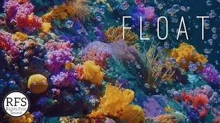 [No Copyright Music] Inspiring Background Music by Rights Free Sound / Float