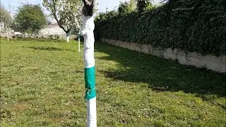👉Anti insecte ZERO pesticide, la bande engluée sur arbres fruitiers !