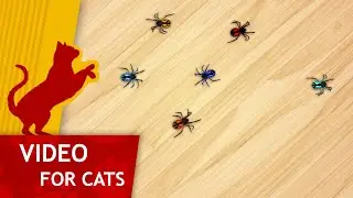 Cat Games - Toy Spiders (Videos for cats to watch)