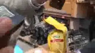 TIR Dolusu Domuz Eti Yakalandi