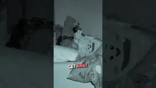 PAZUZU Lafufu? 