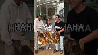 50.000 TEBAK MAKANAN BERBAHAN DARI HIU⁉️😱⁉️😱 #shorts #shortvideo #viralvideo #challenge