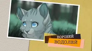 ГРОТСКОП КОТЫ ВОИТЕЛИ ч о