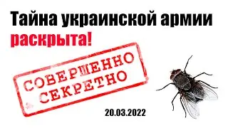 Что скрывала украинская армия и как стрелять с мухи