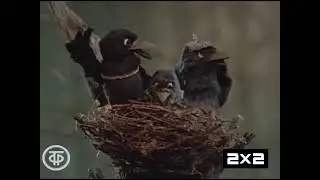 Русские мультфильмы Сегодня 0600