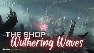 Should you spend in the shop? And where to spend!