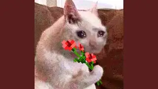С Днём Рождения, Иван
