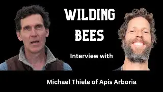How (Re) Wilding Honey Bees can them and save us.