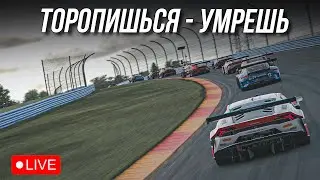 Война в 1 сплите продолжается! | iRacing