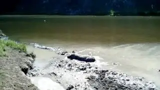 Что вдруг увидели на берегу