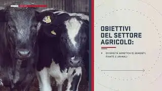 Goal #2 - Zero Hunger