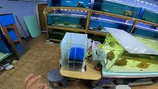DİSCUS TANKIMA SUMP YAPIYORUM-SUMP MALZEME DİZİLİMİ-BÖLÜM 2