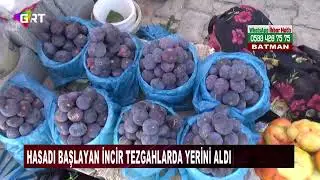Hasadı başlayan incir tezgahlarda yerini aldı