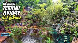 Kondisi Aviary Dehakims // Detailing Air Terjun