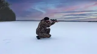 Охота на лису 2021 Охота в засидке