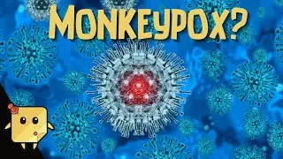 What Is Monkeypox?
